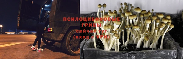 прущая мука Лиски