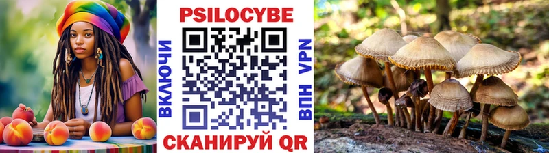как найти закладки  Усть-Джегута  Псилоцибиновые грибы GOLDEN TEACHER 